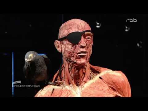 Abendschau   29 08 2016 19 33 Clip Menschenmuseum