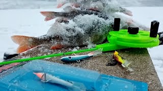 Балансир на окуня от лаки джон