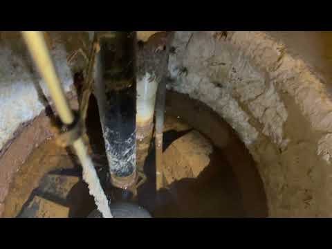 Lots of Cave Crickets in the Basement in Fair Haven, NJ