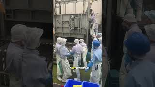 Download lagu This is the Halal Slaughtering Process of Wagyu Beef! mp3