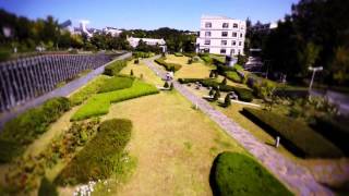 Écho Logis Camouflés