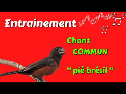 Chant commun