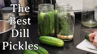 The Best Dill Pickles!