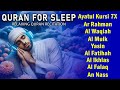 Quran Recitation In A Peaceful Voice I Alfatiha Ayat AlKursi Yasin AlWaqiah Arrahman Alaa Aqel