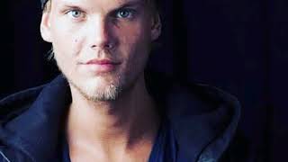 Avicii - long road to hell (lyrics)