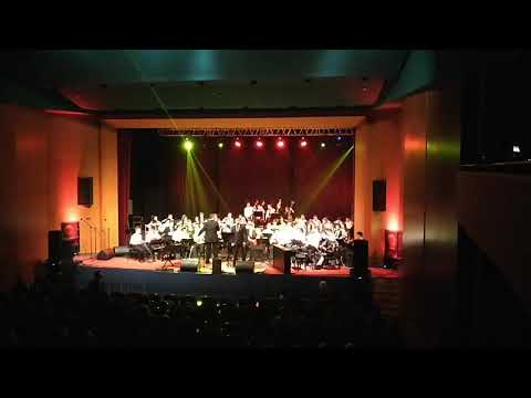 Karlo Milićević - Golubovi (Ivo Robić)