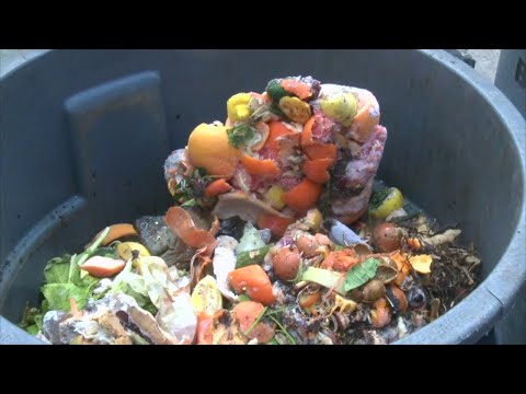 NYC Set To Expand Composting Program Throughout the Five Boroughs