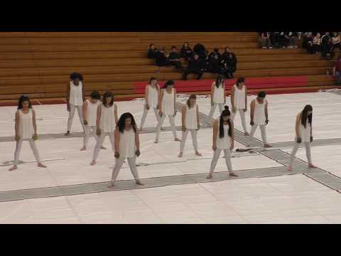 2019 Vanden HS Winter Guard at FSUSD Winter Showcase