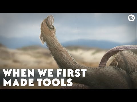 当我们第一次制作工具时(When We First Made Tools)