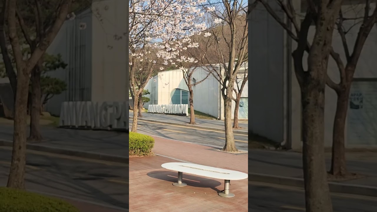 WHERE'S PETER? 59 #nature #travel #Anyang Art Park#안양예술공원