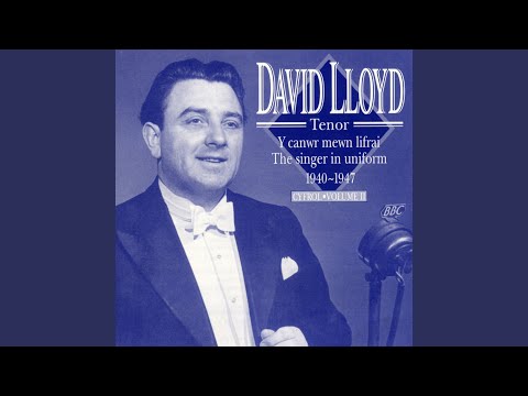 Wyt Ti'N Cofio'R Lloer Yn Codi