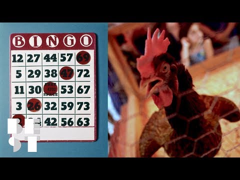 Would You Play Chicken Sh*t Bingo? | Best Products