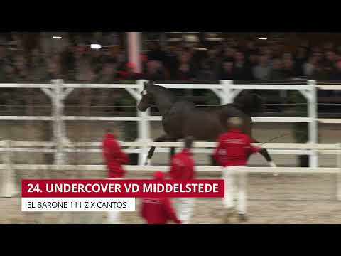 UNDERCOVER VD MIDDELSTEDE (EL BARONE 111 Z  x CANTOS )