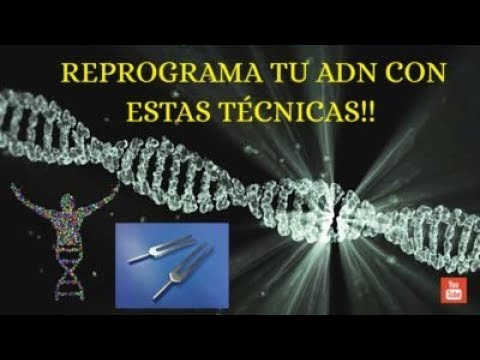 Como reprogramar el ADN para mejorar tu vida