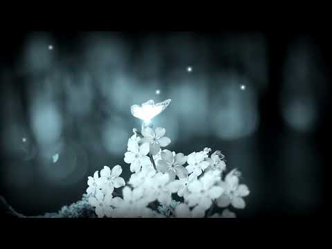 Light Butterfly / Mariposa de luz (Royalty Free - Creative Commons)