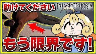 【 Phasmophobia 】ファズモフォビア界で最も頭がおかしい人に困らせられるめぐみちゃんだよ！【 撮れホラ 】