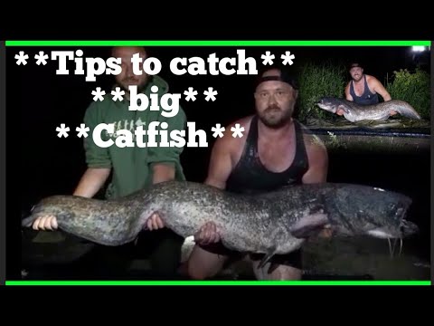 ***Tips to catching big catfish***.