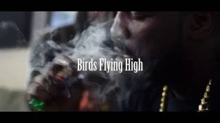 Tsu Surf - Flying High