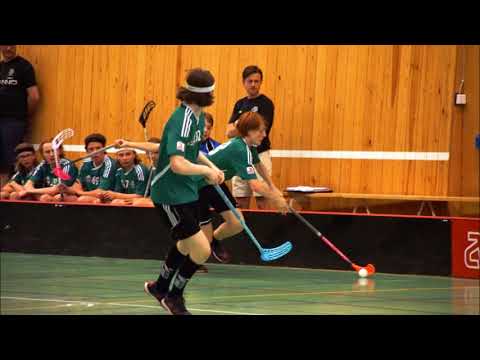 2017 05 27 Tillberga Öjebyns IBF