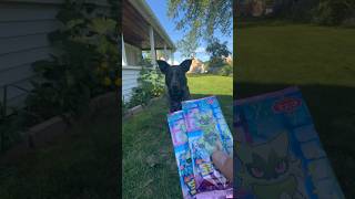 Gem Pack Vol 5 packs 13&14 #pokemon #dogs #pokemoncards #pokemontcg #gempackvol5