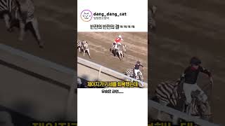 대환장 경마장