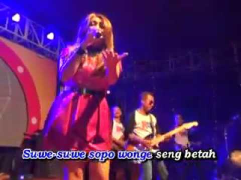 OM  RGS - Suket Teki Defiana Safara