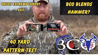 Would You Hunt This BENELLI M2 Turkey Setup?