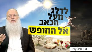 "פסח" = דילוג: איך להשתחרר מהעבר ולקבוע עובדות חדשות בחייך (הרב יחיאל קוצר) - התמונה מוצגת ישירות מתוך אתר האינטרנט יוטיוב. זכויות היוצרים בתמונה שייכות ליוצרה. קישור קרדיט למקור התוכן נמצא בתוך דף הסרטון