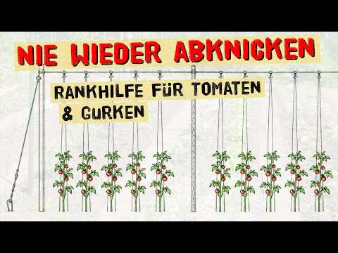 Stabile Rankhilfe für Tomaten, Gurken, Bohnen selber bauen - hält auch bei Wind