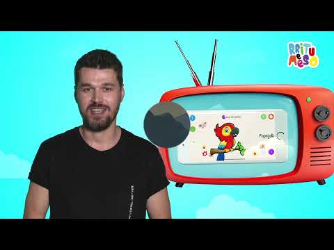 Rritu e Meso - Kafshët