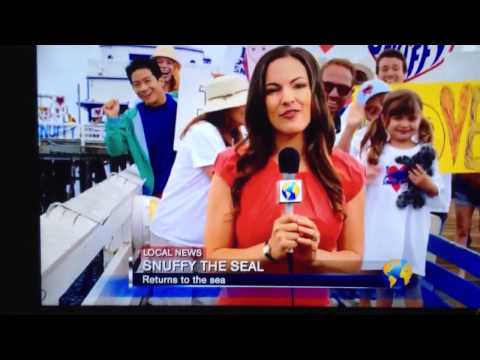 Snuffy the seal (shark week)