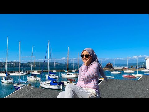 A summer in Wellington | Oriental Bay