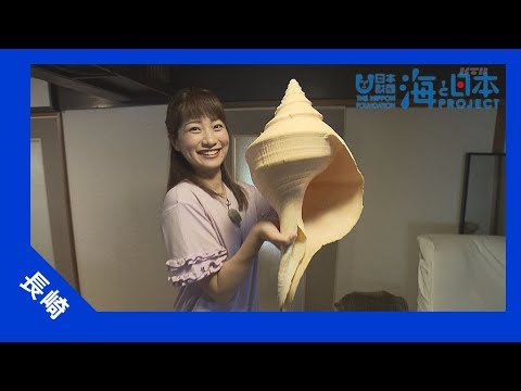 2017年 #8 世界をまたにかける貝コレクター～!貝のすむところがなくなっている～ | 海と日本PROJECT in ながさき
