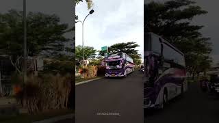 Download lagu Story' Wa Bus Pariwisata SJM TRANS 'RATU MAHER' mp3