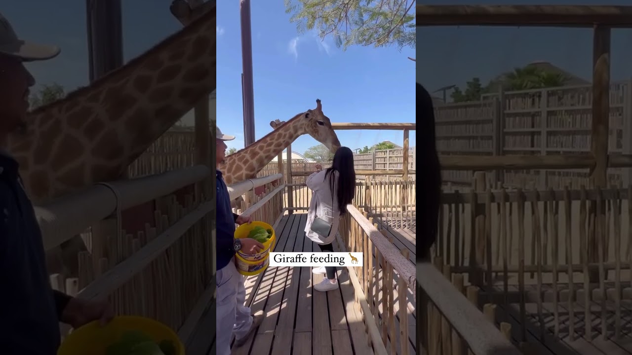 YouTube Short thumbnail