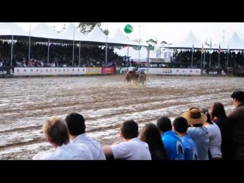 Paleteada - Freio de Ouro 2011