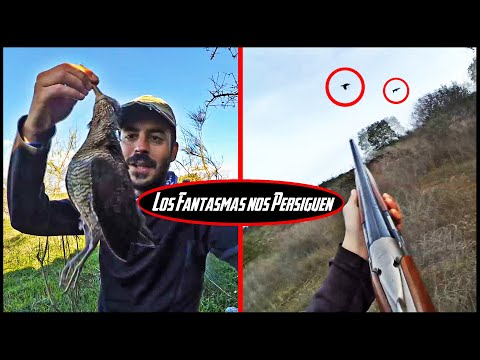 🔴 CAZA MENOR al Salto ¡Del cielo💫 al infierno🔥en un segundo!