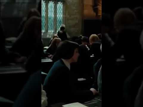 When Cedric is the definition of Karma. (Y/N x Ced POV)