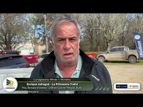 Enrique Adrogué - Próximo remate La Primavera Traful el Viernes 12 de Septiembre en Coronel Pringles