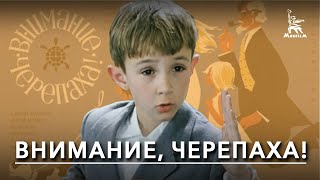 Внимание, черепаха! (1969)