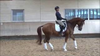 Video of Lucky Von Heslegard