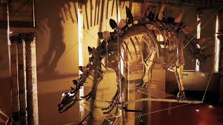 Exploring the Museum’s Most Priceless & Mysterious Treasures (4K Documentary)