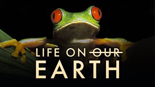 Life On O̶u̶r̶ Earth