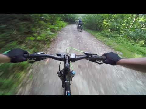 Tura Valea Vadului - S. Muntele Baaisorii - M. Bocului - M.Filii - Moare de Pădure (Patrea III)