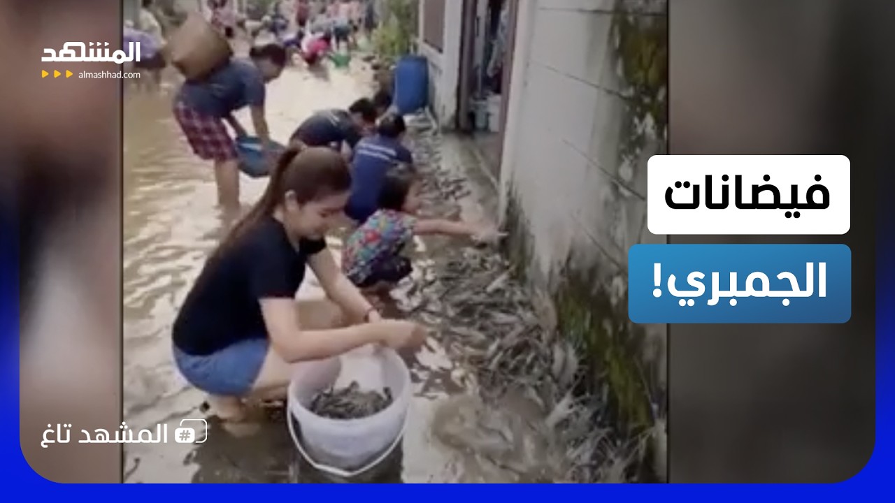 كنز مجاني للمواطنين.. فيضانات تدمر مزرعة سمكية وتغرق تايلاند بالجمبري!   – ال?