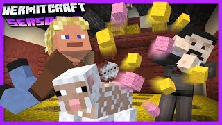 Zedaph's recent Youtube video thumbnail