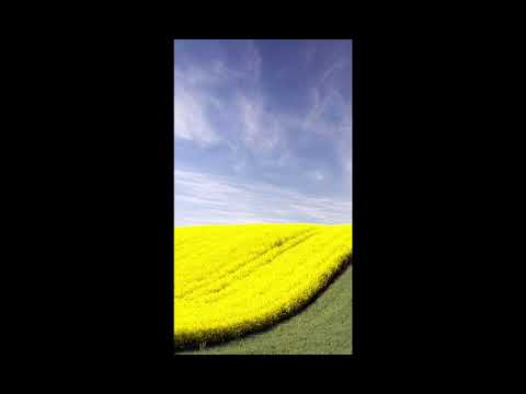 Junkie xl feat. Sasha - Breezer (Tiesto Remix) by MTM