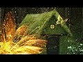 Peaceful music, Relaxing music, instrumental music, "The Golden Forest" by Tim Janis