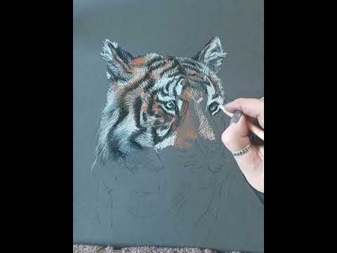 Proces 