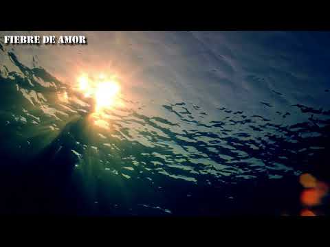 Alvaro HM - Fiebre de Amor